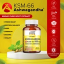 the-body-reserve-ashwagandha-ksm66-60-ca-71iEU8y6jxL.jpg