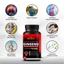 mexmy-red-panax-ginseng-capsules-with-sh-71qQQ0p8S5L.jpg