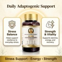 ksm-66-ashwagandha-capsules-500mg-ksm-66-71zzWjpi89L.jpg