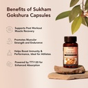 gokshura-tribulus-capsules-processed-usi-71MykeZKGgL.jpg