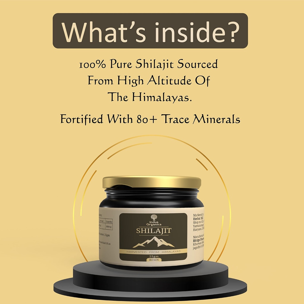 himalayan-pure-shilajit-resin-25gm-for-s-710LqinyKSL.jpg