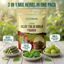 giloy-tulsi-amla-powder-100g-herbal-immu-71vKJp3ffcL.jpg