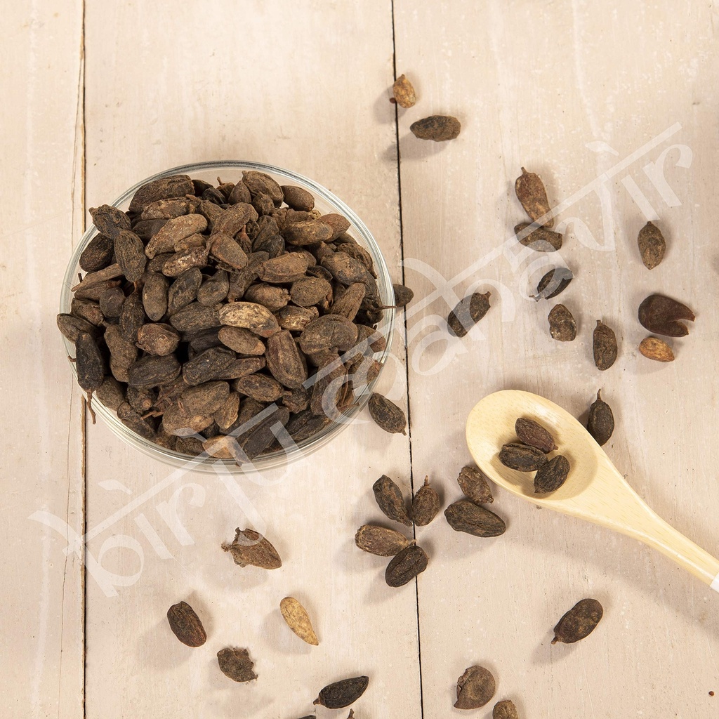 birju-mahavir-1-kg-neem-seeds-neem-nibol-91N+W-d6pmL.jpg