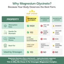 magnesium-complex-220mg-elemental-magnes-81GYmVHrZgL.jpg