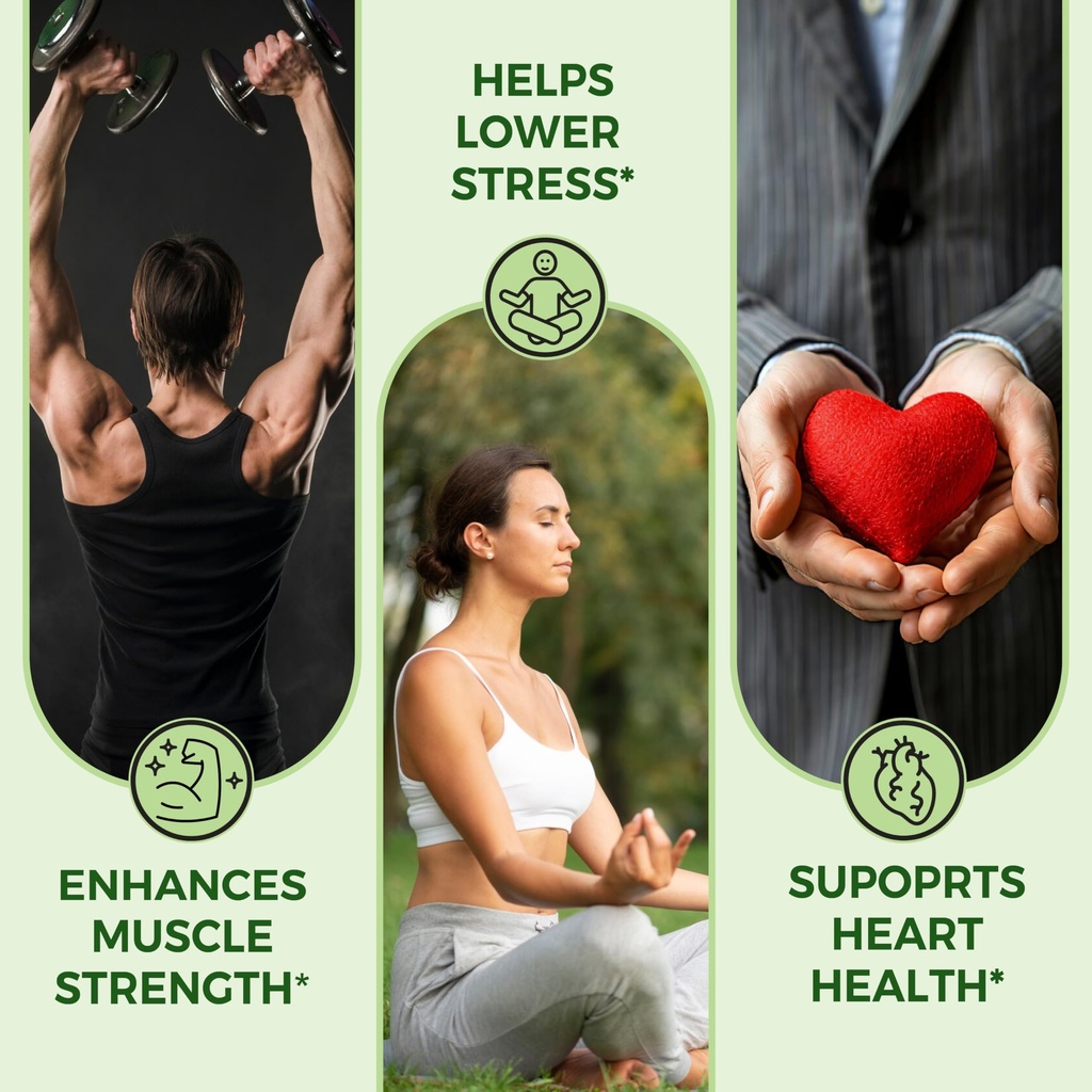 pure-nutrition-organic-ashwagandha-table-810Sh-2S5wL.jpg