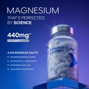 muscleblaze-magnesium-matrix-60-tablets-71AXFcivfML.jpg