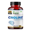 humming-herbs-choline-1122mg-with-bacopa-71AgzZHo33L.jpg