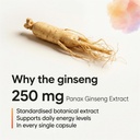 multivitamin-ginseng-for-men-250-mg-pana-71COhaLfmLL.jpg