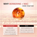ace-blend-bio-berberine-nac-blood-sugar--61dyoDHAoBL.jpg