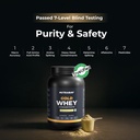 nutrabay-gold-whey-protein-concentrate-w-71glNiAt7kL.jpg
