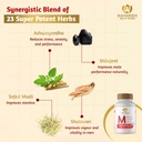 maharishi-ayurveda-shilajit-tablets-vigo-61p3pCTXJGL.jpg