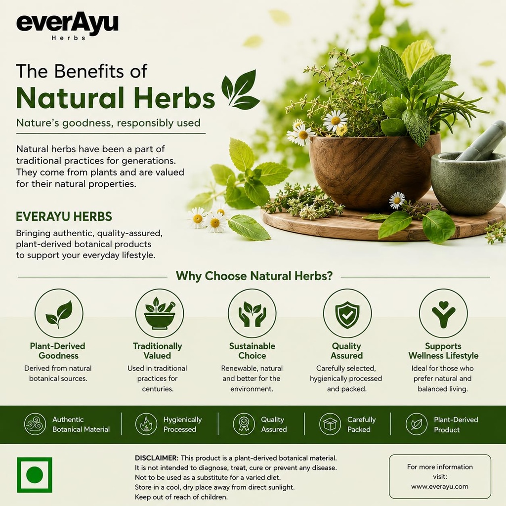 mochras-powder-250gm-gond-mochras-churna-719zEuDFhoL.jpg