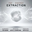 qnt-iso-ripped-whey-protein-isolate-powd-71SD+jMmjCL.jpg