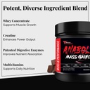 anabolic-mass-gainer-500g-belgium-chocol-61ipfQqwH5L.jpg