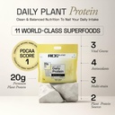 ace-blend-daily-20g-plant-protein-30-ser-61kUHXzMp3L.jpg