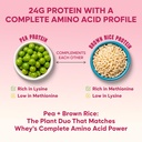 foodstrong-gut-friendly-plant-protein-co-71HSzwO+ANL.jpg