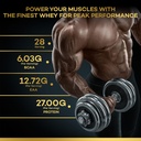 nakpro-nutrition-gold-premium-whey-prote-810V7Z3A1tL.jpg