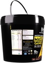 nutrimuscle-massive-muscle-mass-gainer-1-71kBcKFpZiL.jpg