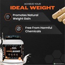 nutrela-sports-mass-gainer-protein-powde-613o+yb6jDL.jpg