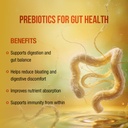 wow-life-science-electrolyte-boost-effer-61yKcuYj9uL.jpg