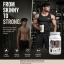 absolute-nutrition-elephant-premium-mass-81EaZlWiEOL.jpg
