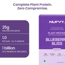 blueberry-plant-protein-powder-sachets-p-71oNXZMrz-L.jpg