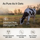 wellbeing-nutrition-clean-whey-protein-c-91Mz4u8KqlL.jpg