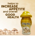 drl-strong-mushroom-powder-weight-gainer-71lDmWM+PjL.jpg