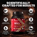 fitspire-fit-super-pro-whey-protein-powd-71JMPU+ulbL.jpg