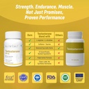 sainebio-testoboost-for-men-natural-test-81G1k-uBLgL.jpg