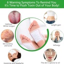 20-pcs-herbal-detox-foot-pads-for-toxin--71xFGCXCSIL.jpg