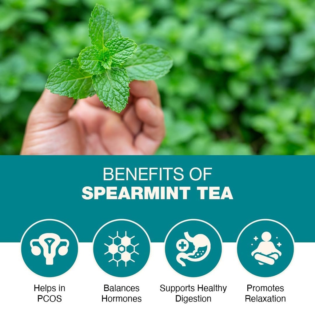 spearmint-tea-belly-fat-detox-tea-belly--61F09eP9BtL.jpg