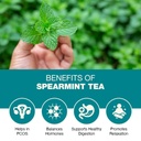 spearmint-tea-belly-fat-detox-tea-belly--61F09eP9BtL.jpg