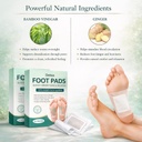 herbal-and-gentle-premium-detox-foot-pat-61JosLpISUL.jpg
