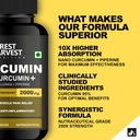 curcumin-95-nano-curcumin-with-piperine--81L7hevLlnL.jpg