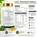 feasy-vegetarian-omega-3-algal-oil-40-hi-71uqK6BI0IL.jpg