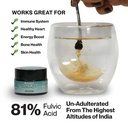 shilajit-resin-15g-713OroyMeuL.jpg