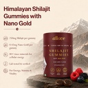 allove-shilajit-gummies-250mg-with-nano--813AOQAKVNL.jpg