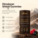 allove-shilajit-gummies-with-ksm-66-ashw-812i2LuN6gL.jpg