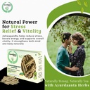 ayurdanta-herbsaswaganha-ashwagandha-raw-71kfa6ewtVL.jpg