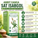 sat-isabgol-psyllium-husk-powder-200g-pa-81SYtS1r49L.jpg