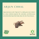 arjun-chhal-ark-200ml-terminalia-arjuna--71Iq1ah0VlL.jpg