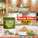 organic-neem-giloy-powder-100-gm-100-pur-81K0+Q8NUTL.jpg