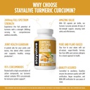 stay-alive-turmeric-curcumin-capsules-95-719tBAguIRL.jpg