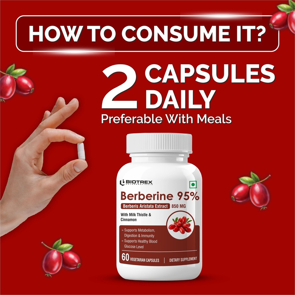 biotrex-nutraceuticals-berberine-hcl-850-81cC+4XT8YL.jpg