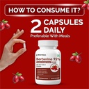 biotrex-nutraceuticals-berberine-hcl-850-81cC+4XT8YL.jpg