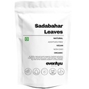 sadabahar-leaves-raw-100gm-periwinkle-le-51fC44VS2gL.jpg