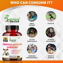 humming-herbs-triple-action-ginseng-with-81hsOhMehYL.jpg