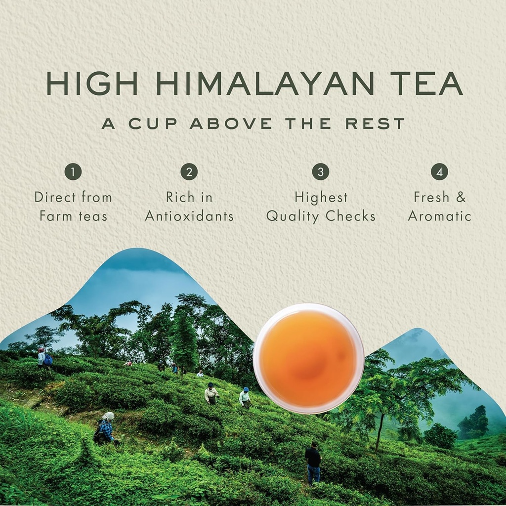 makaibari-darjeeling-green-tea-100gm-che-81RcKCip6dL.jpg