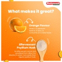 baidyanath-asli-ayurved-isabgol-orange-l-71sNNPkr1qL.jpg